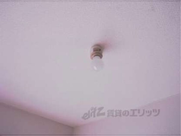 照明