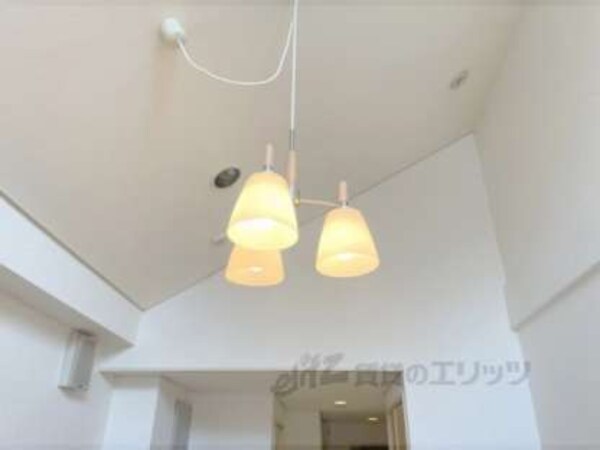 照明