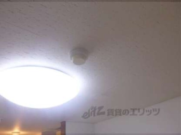 照明