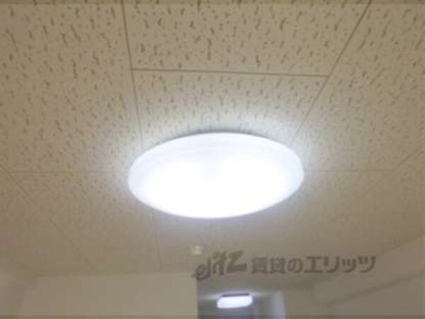 照明