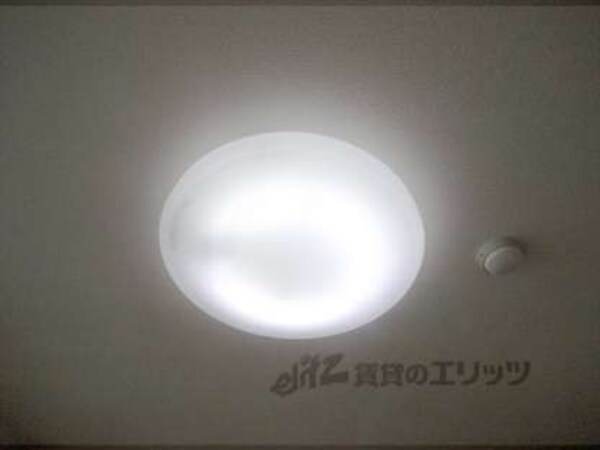 照明
