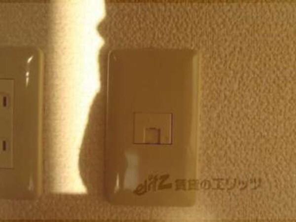 ネット