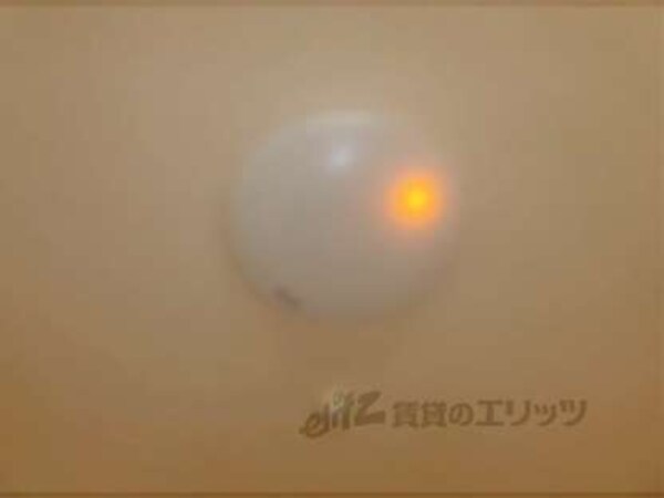 照明