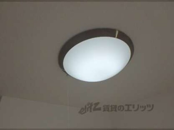 照明