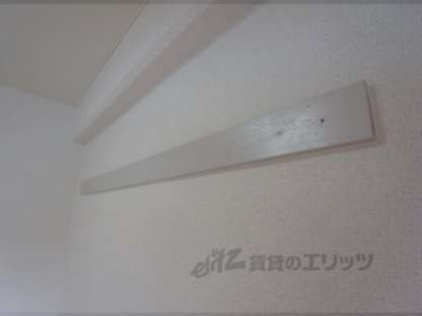 その他(301)