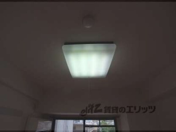 その他(301)