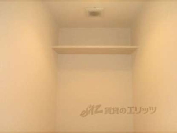 棚
