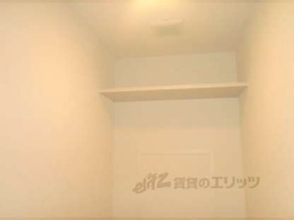 棚