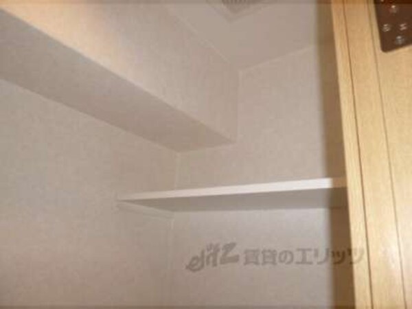 棚