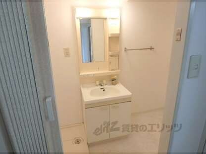 第三シャトーウメダの洗面所