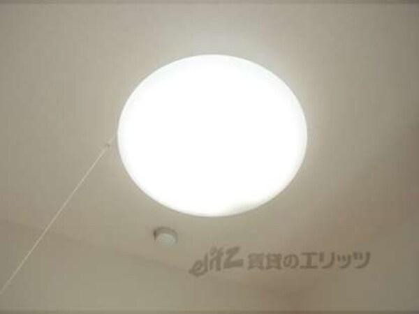 照明