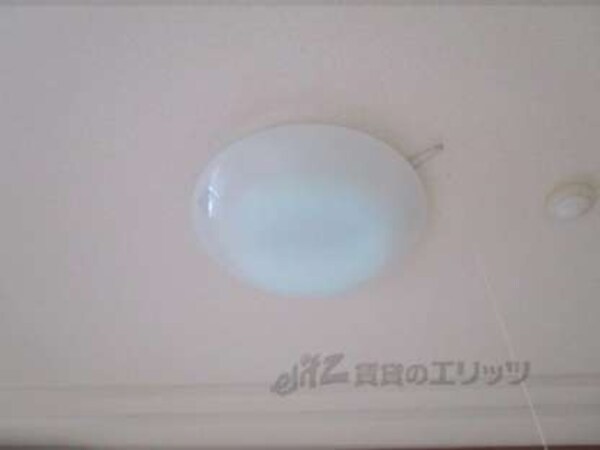 照明