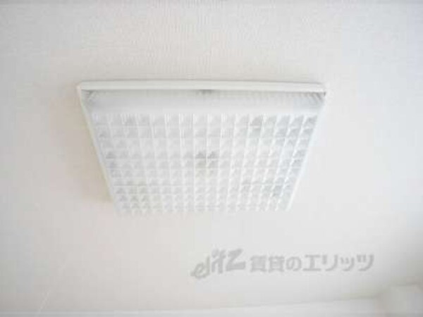 照明