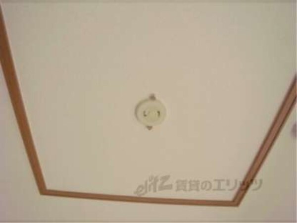 照明