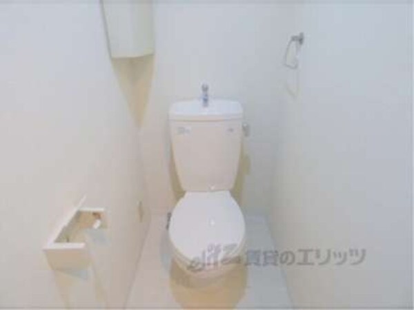 照明