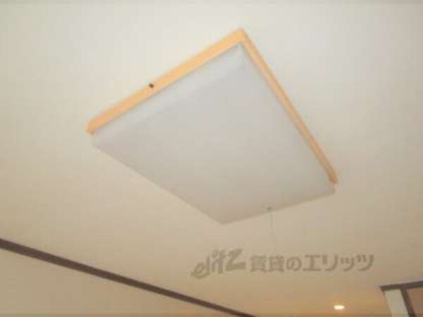 照明