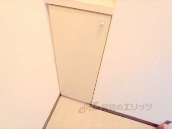 照明