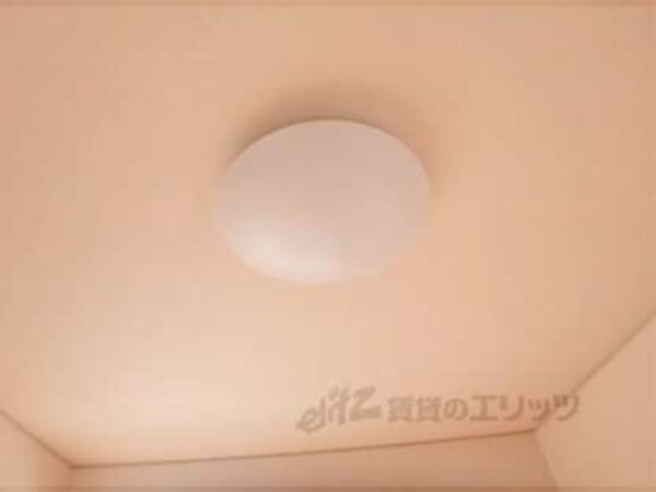 照明