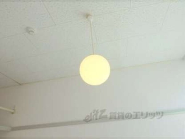 照明