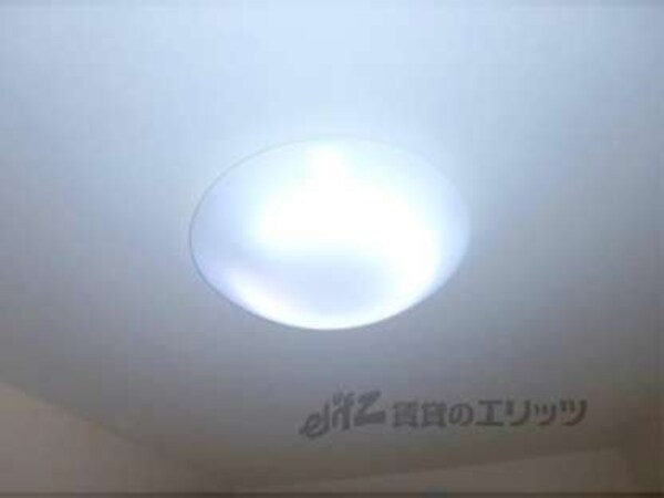 照明