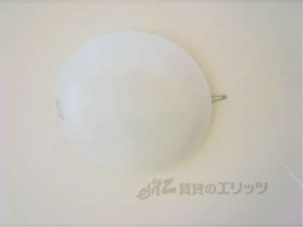 照明