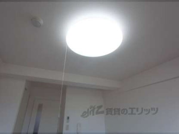 照明