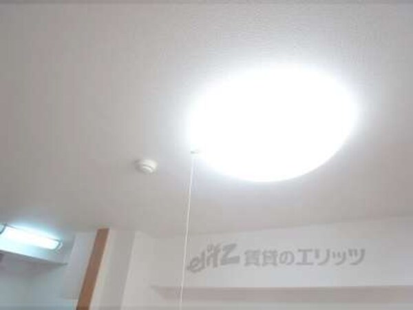 照明各種