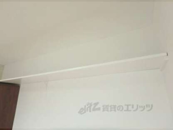 棚