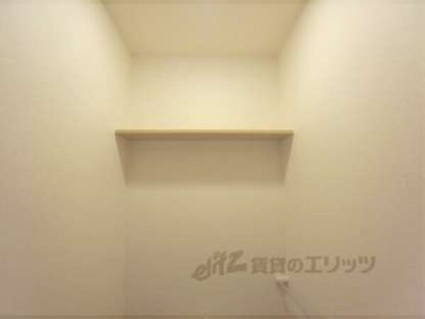 棚