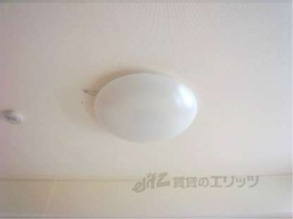 照明