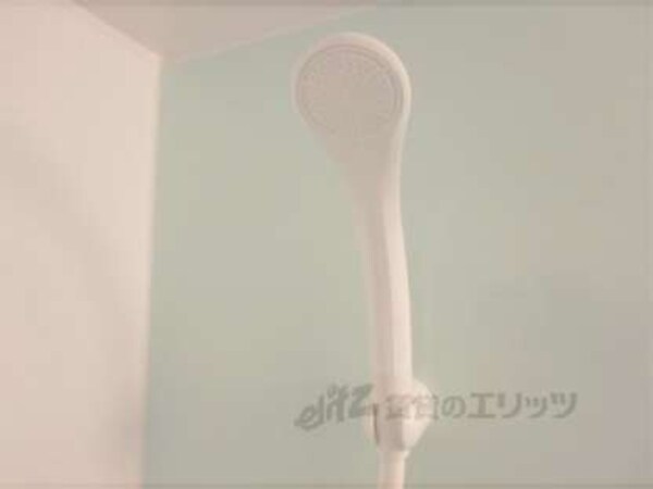 シャワーノズル
