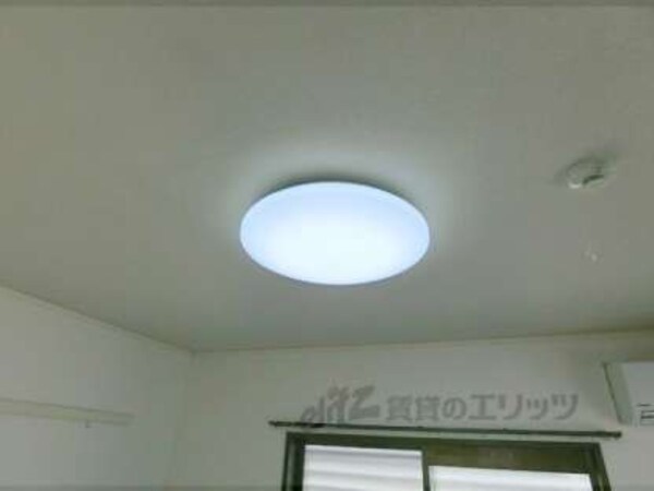 照明