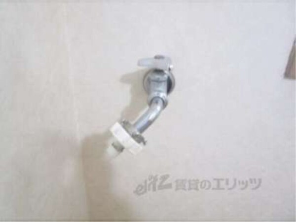蛇口