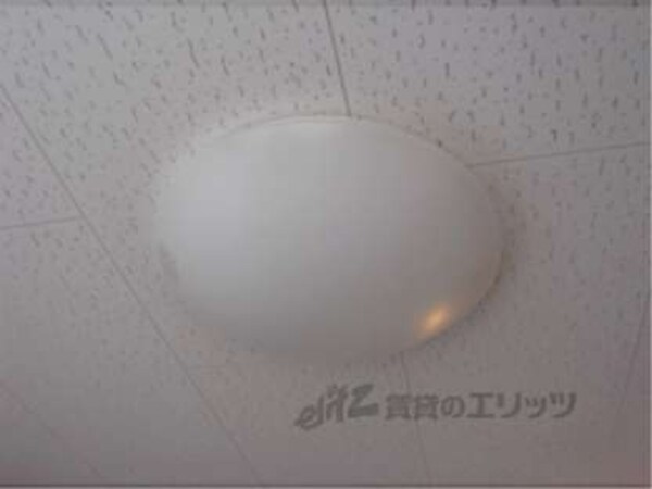照明