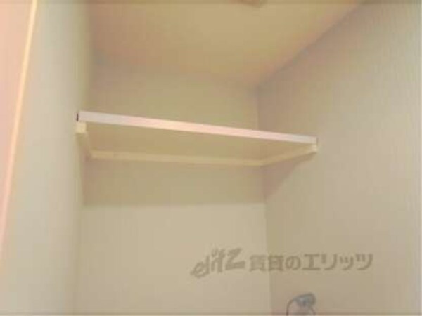 棚