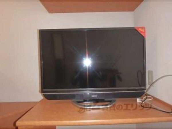 テレビ