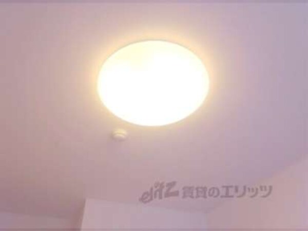 照明