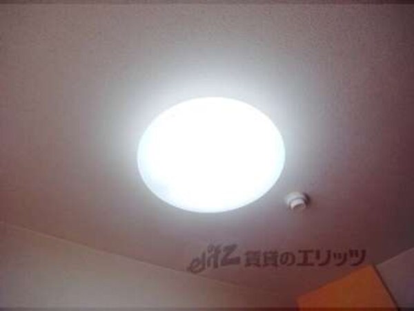 照明