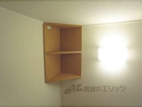 棚