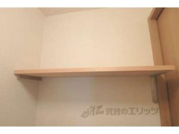 棚
