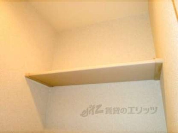 棚