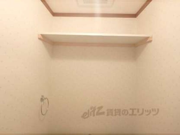 棚