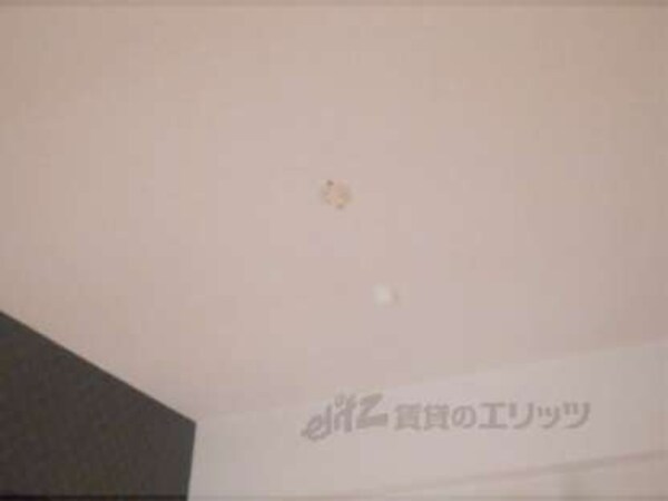照明
