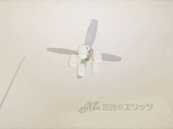 照明