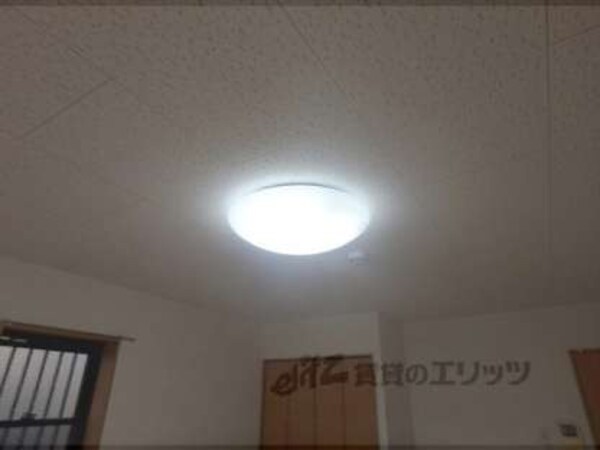 照明