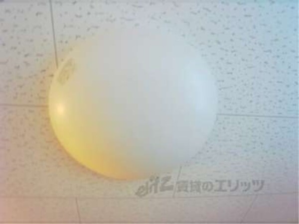 照明