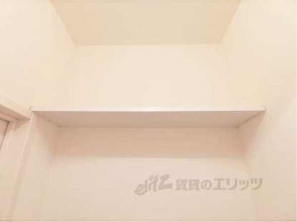 棚