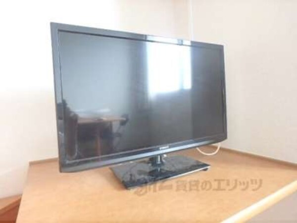 テレビ