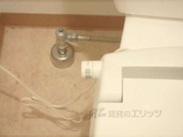 ウォームレット