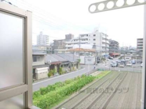眺望(のどかなたんぼの景色です)